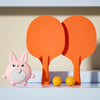 Indoor Table Tennis Set